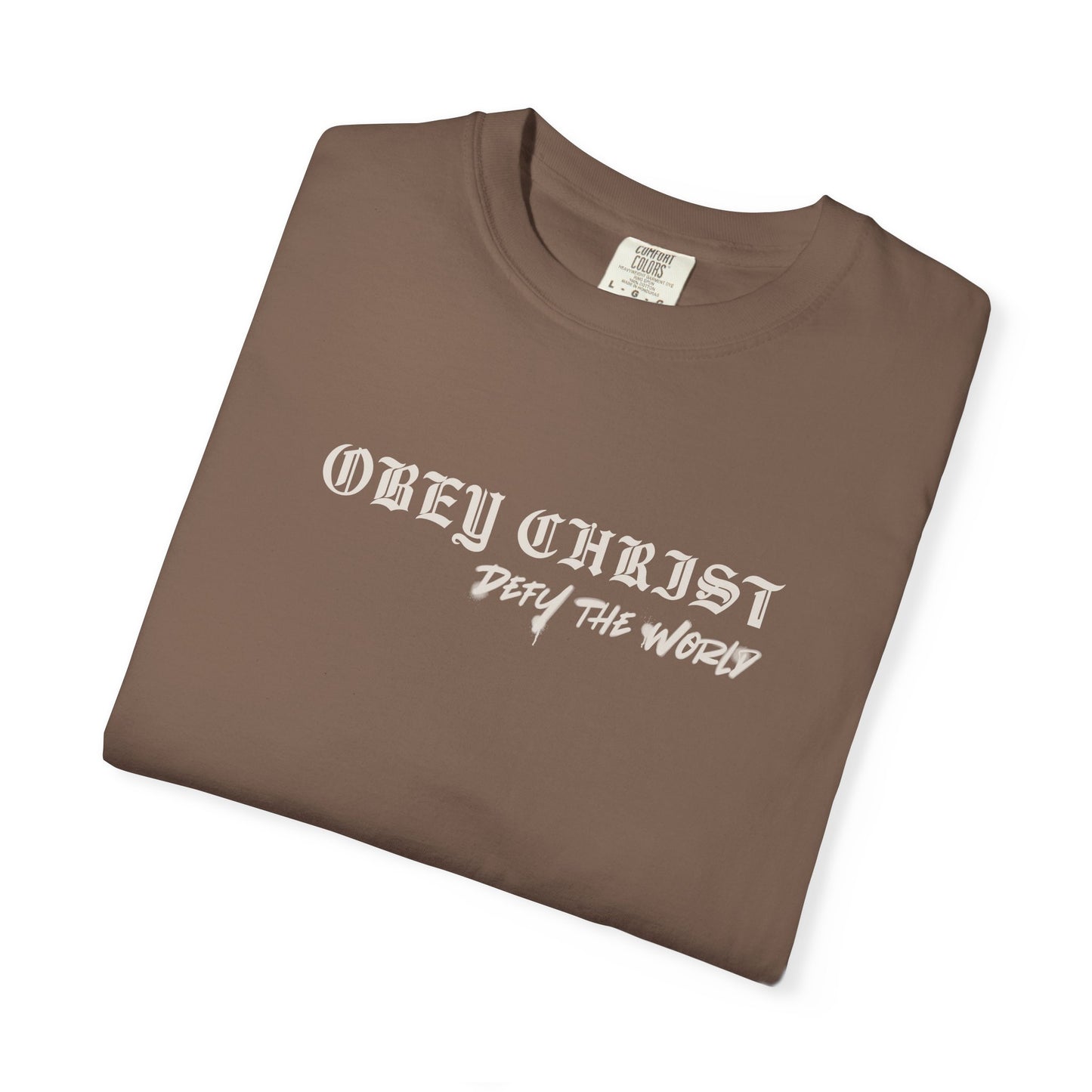 Obey Christ Defy the World Christian T-Shirt