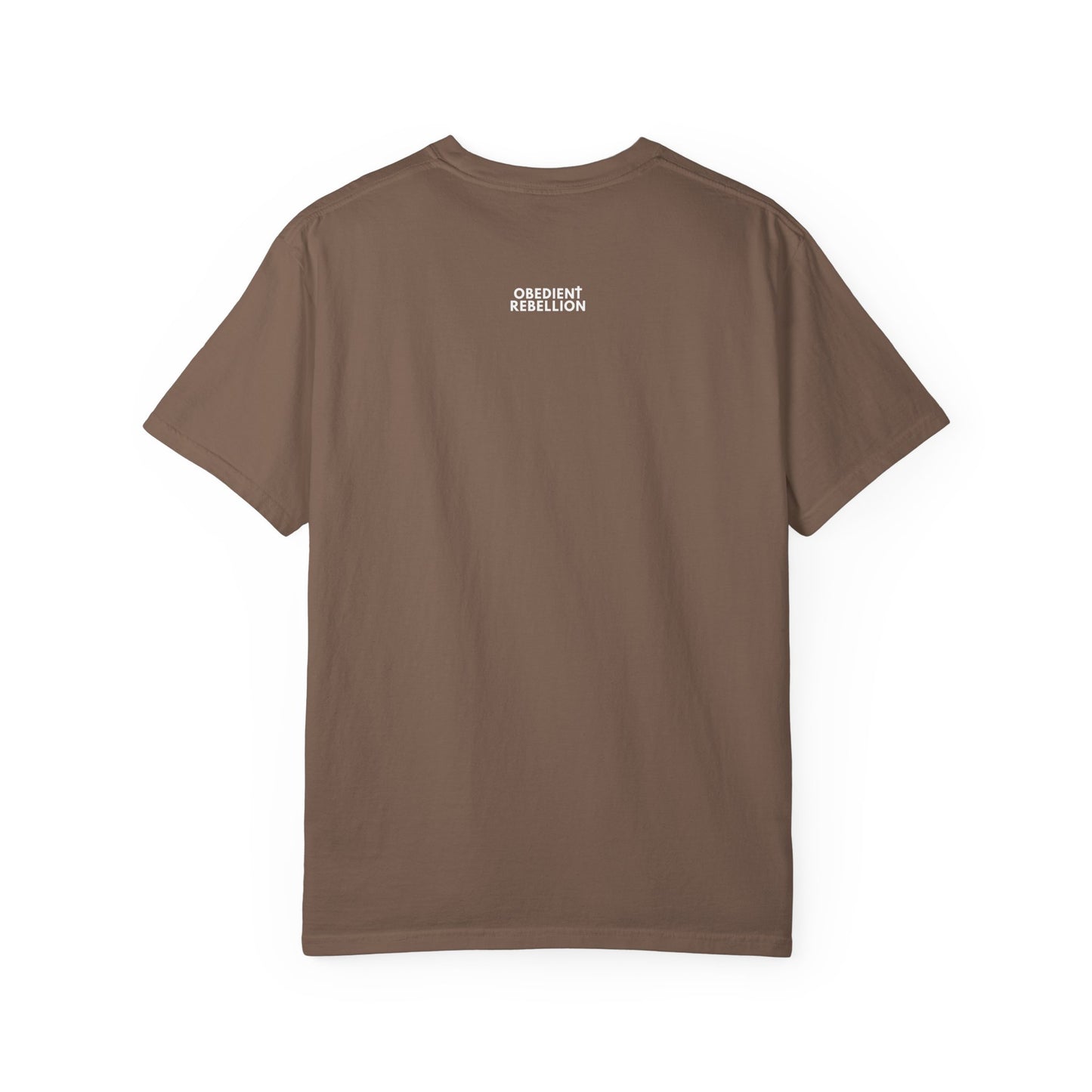 Obey Christ Defy the World Christian T-Shirt