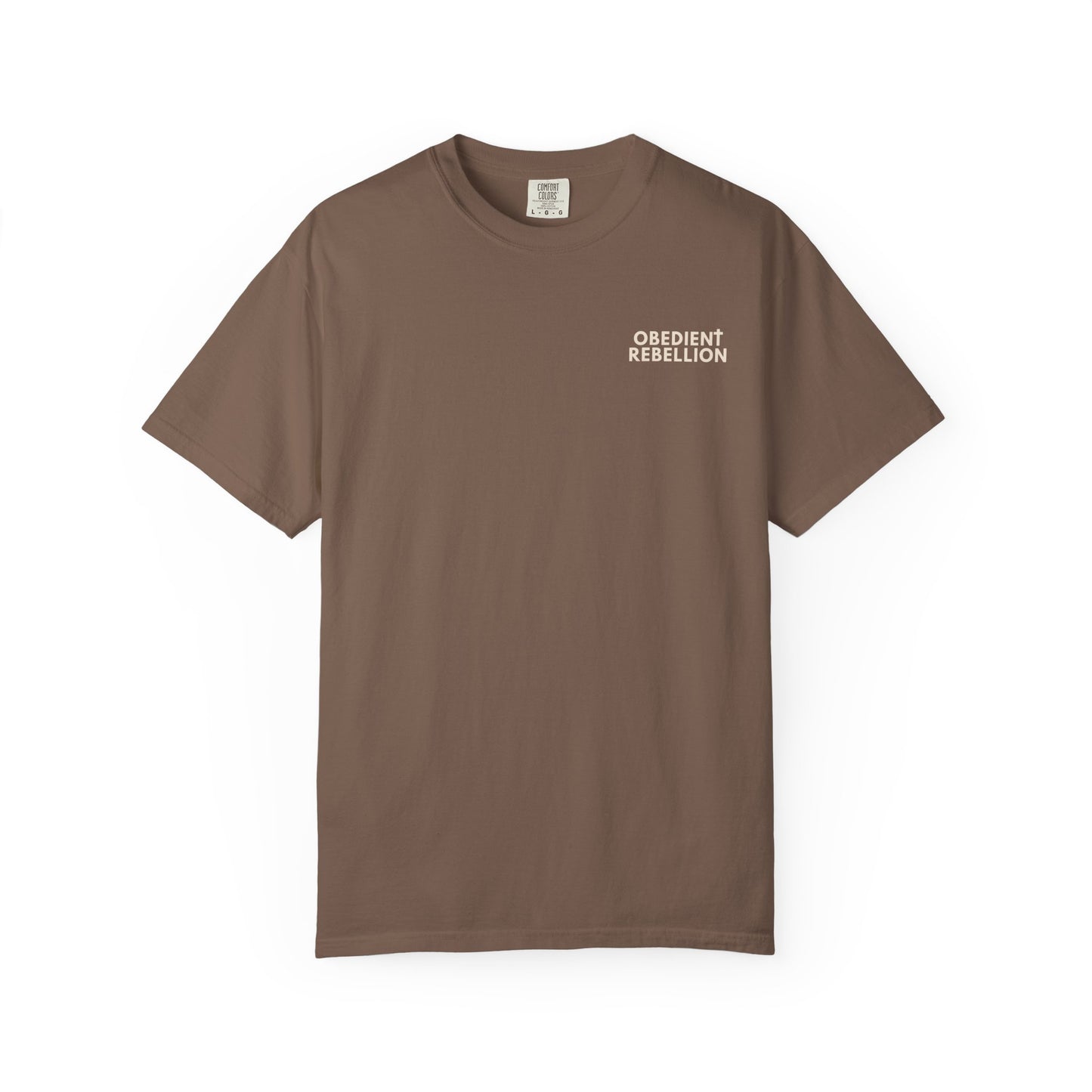 Enter Through the Narrow Gate T-Shirt Matthew 7:13-14