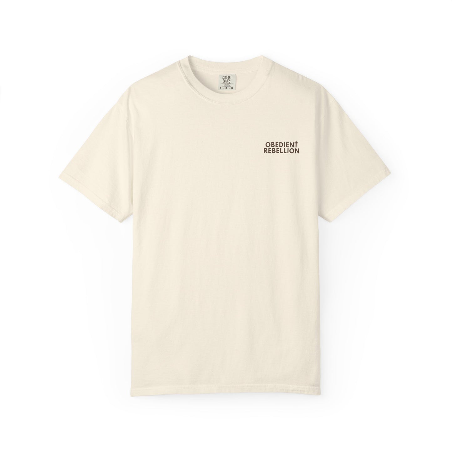 OBEY CHRIST T-Shirt Christian Streetwear