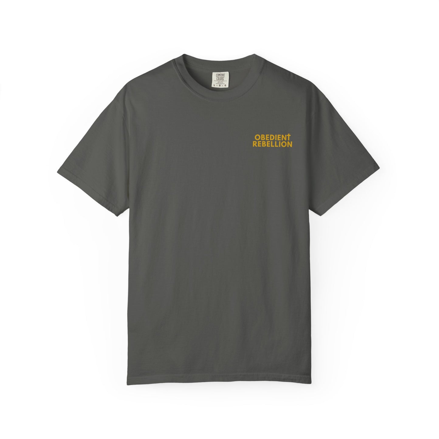 Enter Through the Narrow Gate T-Shirt Matthew 7:13-14