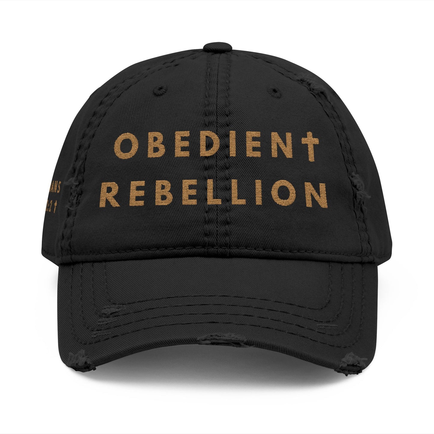 Obedient Rebellion Dad Hat Obey Christ