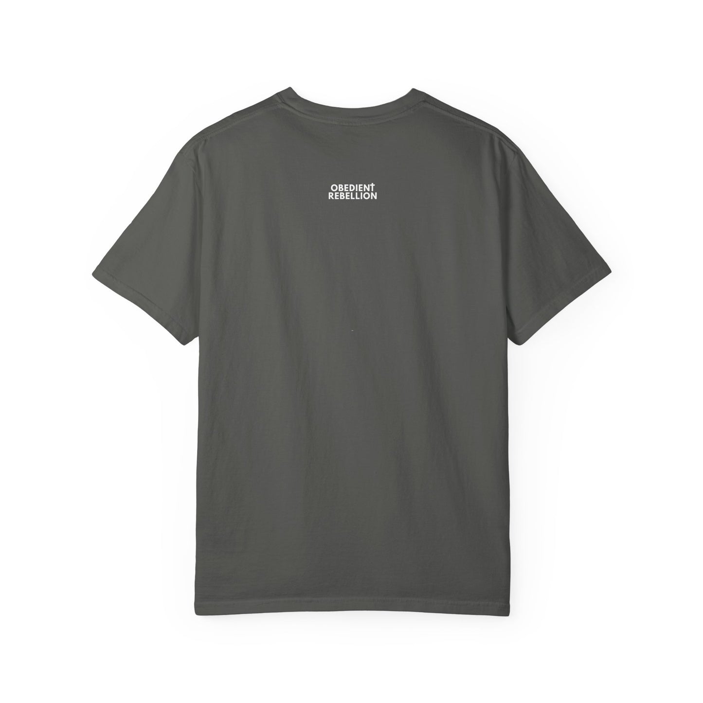 Obey Christ Defy the World Christian T-Shirt