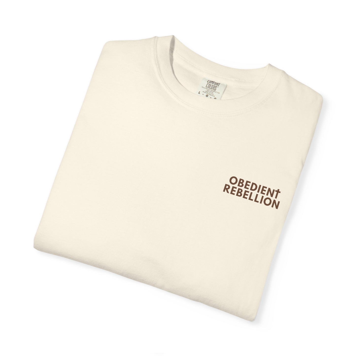 Enter Through the Narrow Gate T-Shirt Matthew 7:13-14