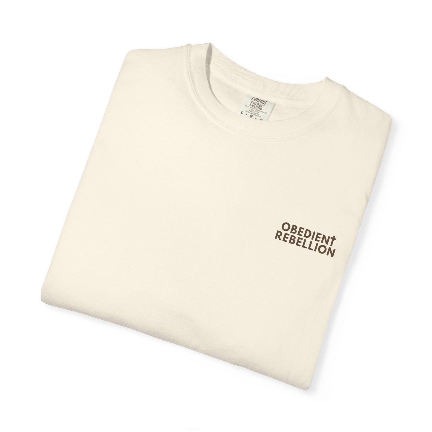 OBEY CHRIST T-Shirt Christian Streetwear