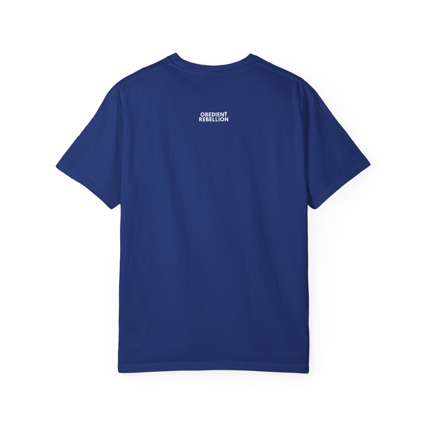 Obey Christ Defy the World Christian T-Shirt