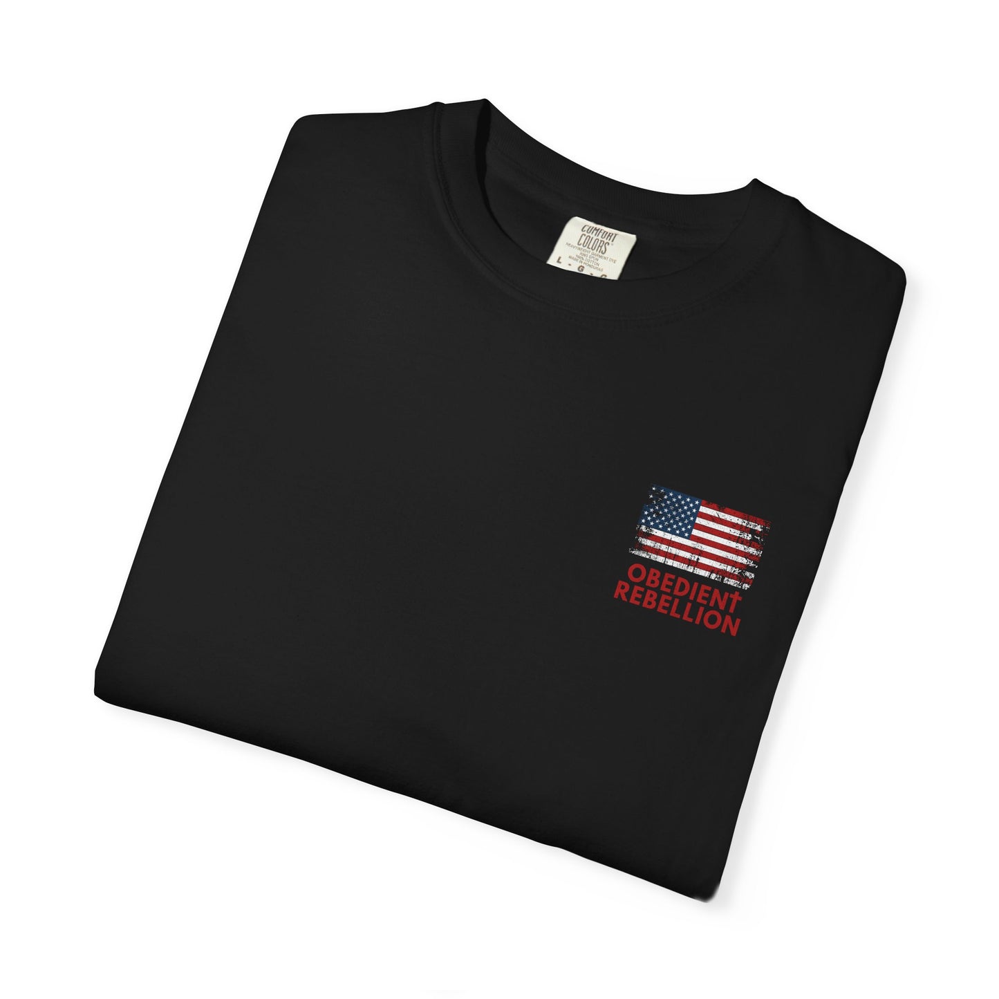 Pray for America Christian T-Shirt  Psalm 33:12