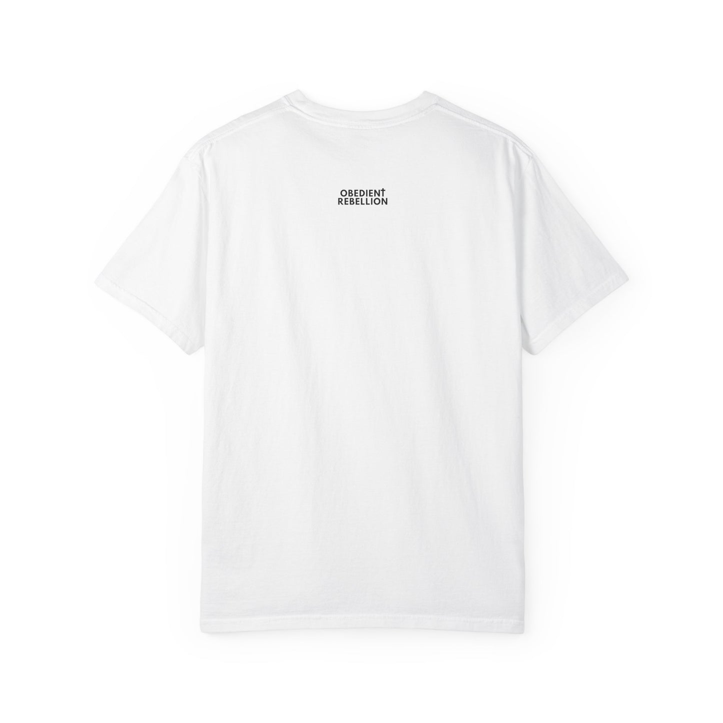 Obey Christ Defy the World Christian T-Shirt