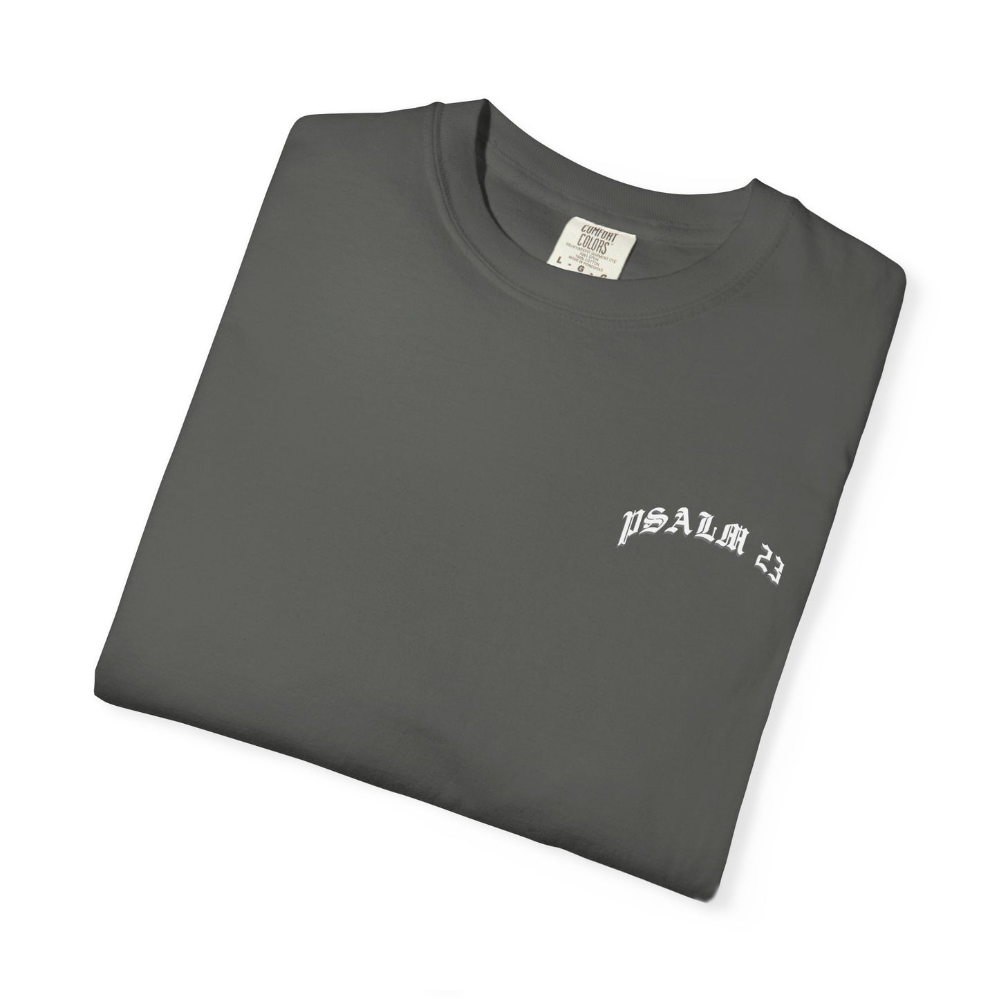Psalm 23 “Fear No Evil” Christian T-Shirt