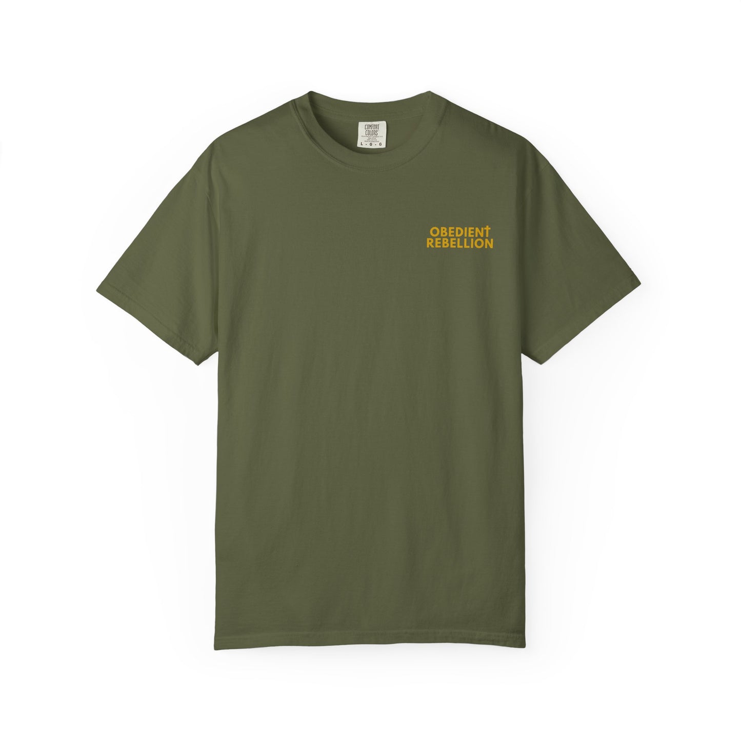Enter Through the Narrow Gate T-Shirt Matthew 7:13-14