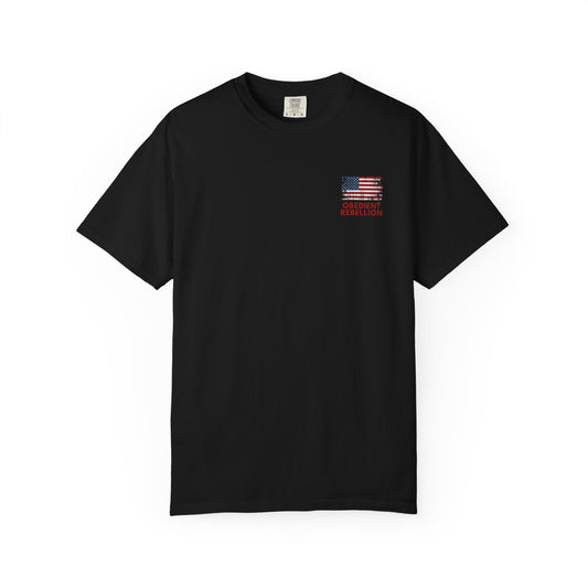 Pray for America Christian T-Shirt  Psalm 33:12