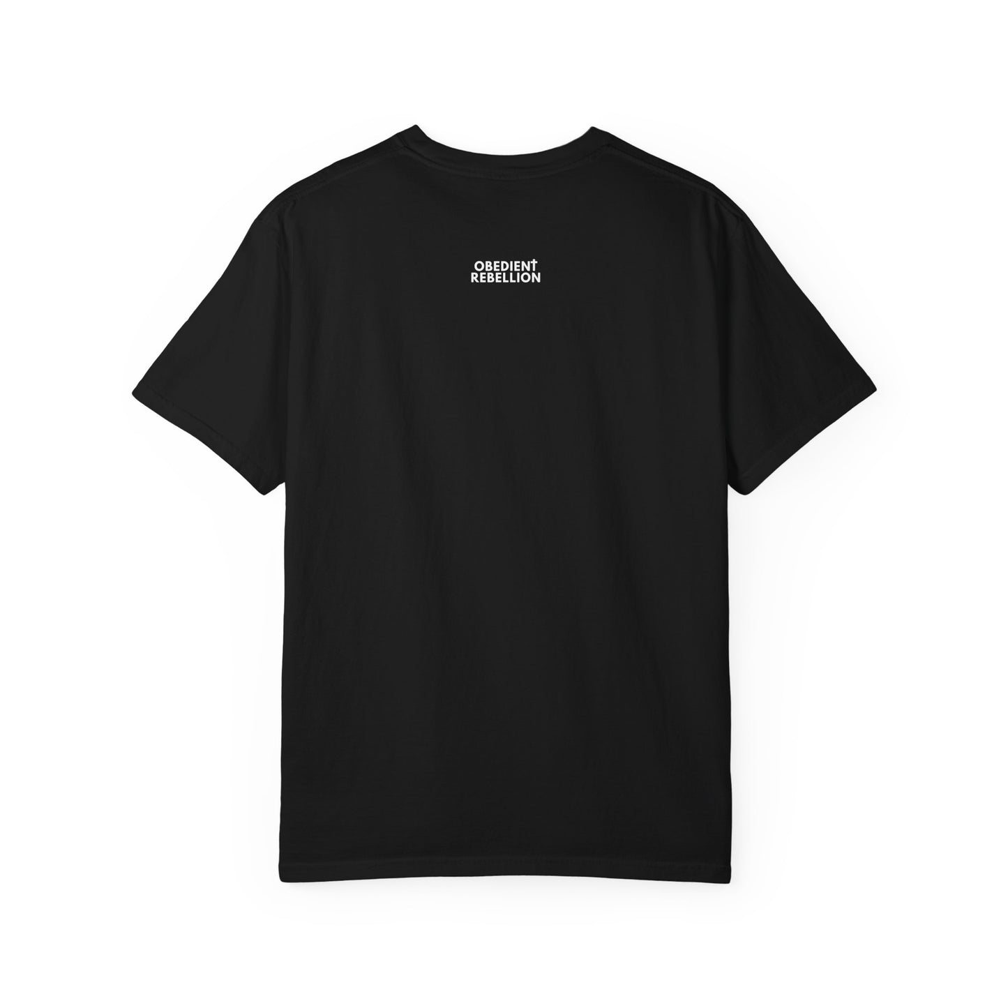 Obey Christ Defy the World Christian T-Shirt