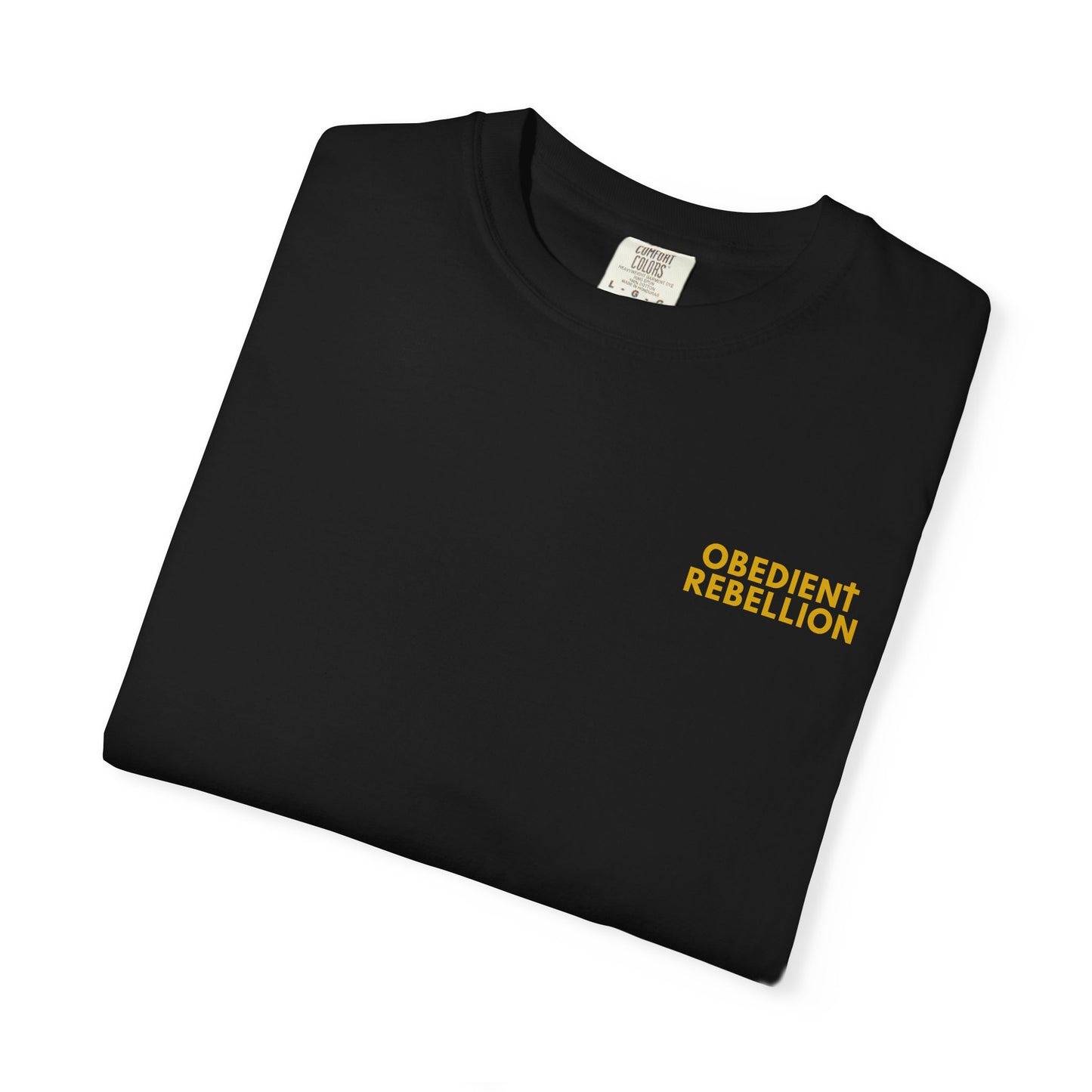 Enter Through the Narrow Gate T-Shirt Matthew 7:13-14