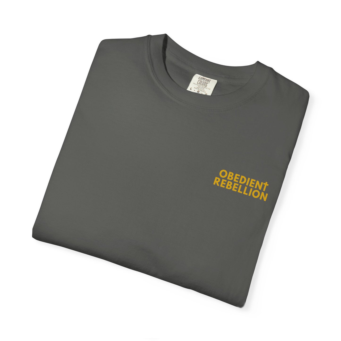 Enter Through the Narrow Gate T-Shirt Matthew 7:13-14