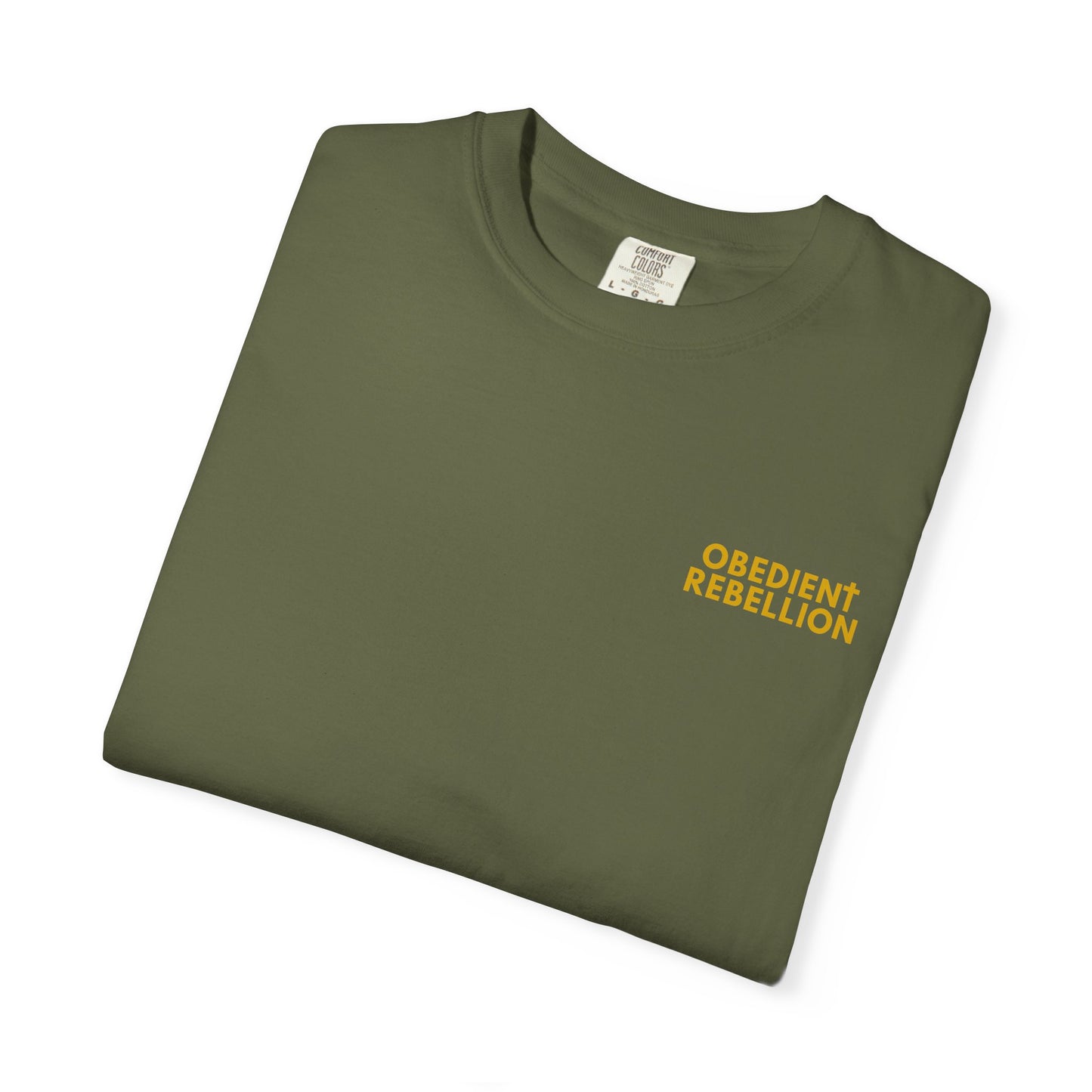 Enter Through the Narrow Gate T-Shirt Matthew 7:13-14