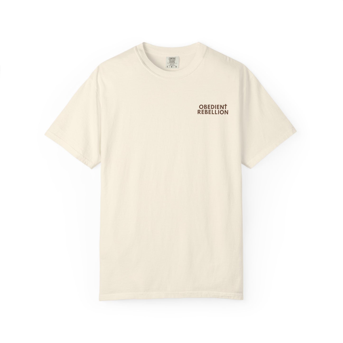 Enter Through the Narrow Gate T-Shirt Matthew 7:13-14