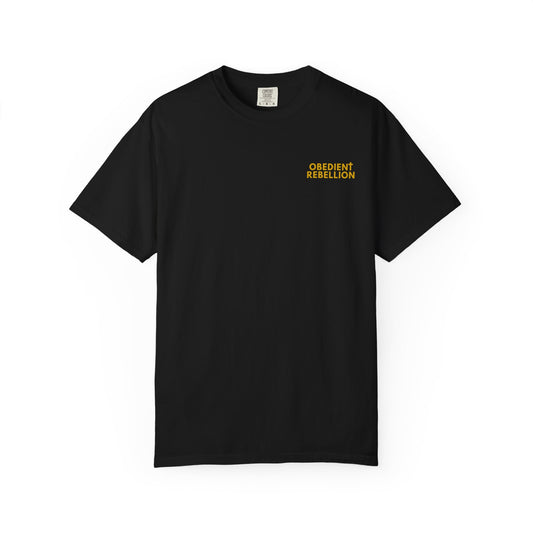 Enter Through the Narrow Gate T-Shirt Matthew 7:13-14
