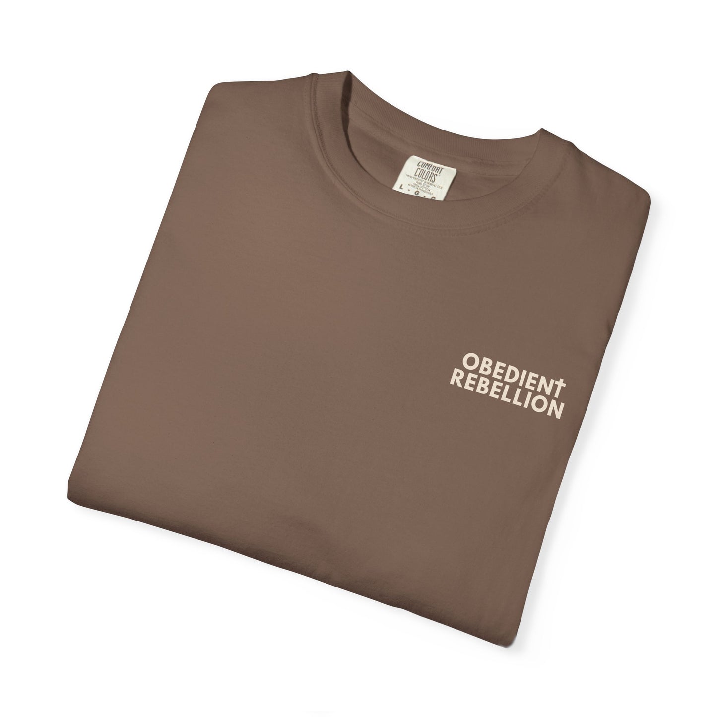 Enter Through the Narrow Gate T-Shirt Matthew 7:13-14