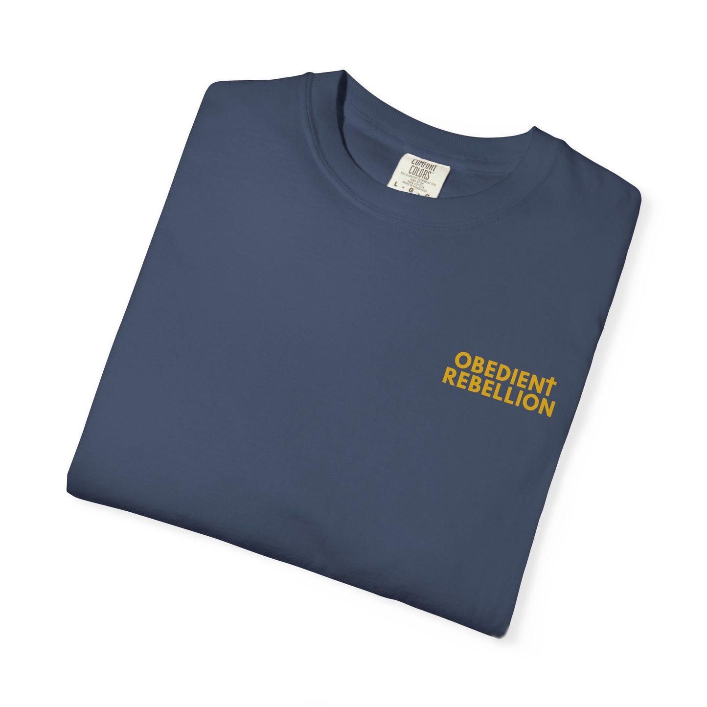 Enter Through the Narrow Gate T-Shirt Matthew 7:13-14