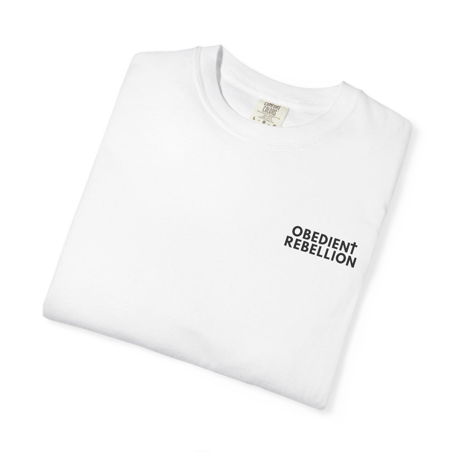 Enter Through the Narrow Gate T-Shirt Matthew 7:13-14